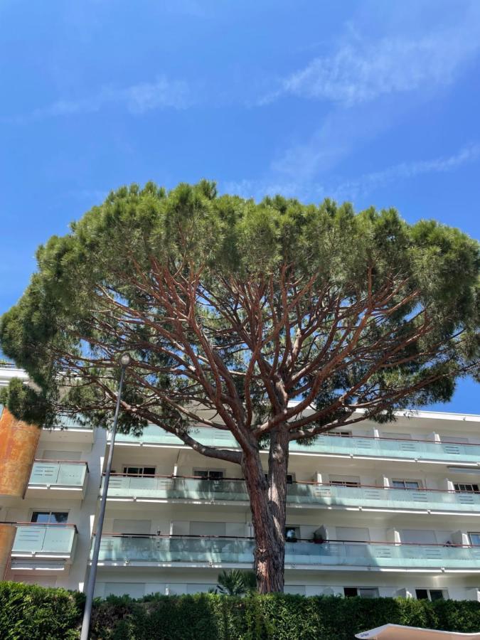 Superbe Studio Lumineux Sur Cannes Avec Terrasse ! A Quelques Minutes De La Celebre Rue D'Antibes ! Exterior foto